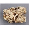 Image 6 : An ivory netsuke of a toad with insects.