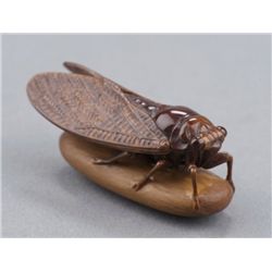 An ivory netsuke of a cicada.