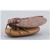 Image 3 : An ivory netsuke of a cicada.