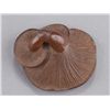 Image 6 : A wood netsuke of mushrooms.
