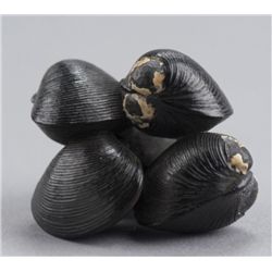 A wood netsuke of a cluster of five hamaguri.