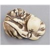 Image 7 : An ivory netsuke of an octopus and piebald cat.