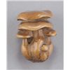 Image 4 : A wood netsuke of mushrooms.