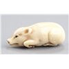 Image 2 : A marine ivory netsuke of a piglet.