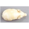 Image 6 : A marine ivory netsuke of a piglet.