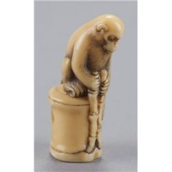 A marine ivory netsuke of a monkey.