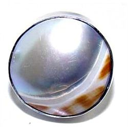 Silver and Shell Ring