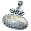 Image 1 : Fossil Coral Pendant