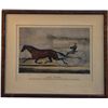 Image 1 : Lady Thorn Horse Racing Picture in Frame
