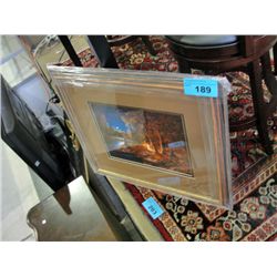 Framed Print