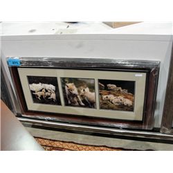 Framed Print by Branden Bury