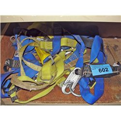 2 safety harnesses