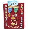 Image 1 : One padded display set of assorted collectors pins