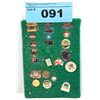 Image 1 : One padded display set of assorted collectors pins