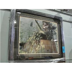 Framed Print by Colin Bogle