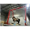 Image 1 : EZ net portable hockey net - brand new