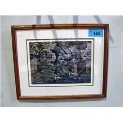 Framed limited edition signed and numbered