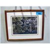 Image 1 : Framed limited edition signed and numbered