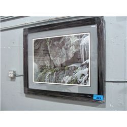 Framed LEP by Robert Bateman