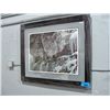 Image 1 : Framed LEP by Robert Bateman