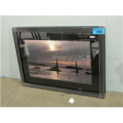 Framed Print by Bob Talbot