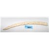 Image 1 : Carved elephant ivory tusk