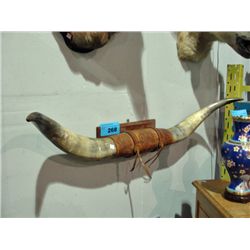 Set of texas long horn steer horns