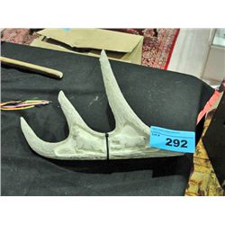 Nicely carved antler