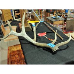 Nicely carved elk antler