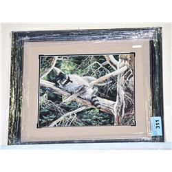 Framed LEP by George Kiss