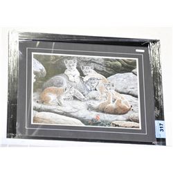 Framed LEP by Glenn Olson