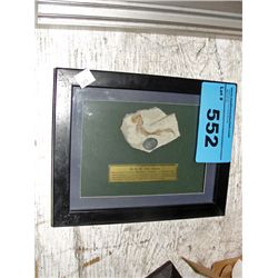 Framed prehistoric fossil found in china