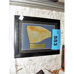 Framed prehistoric fossil found in china