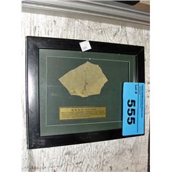 Framed prehistoric fossil found in china