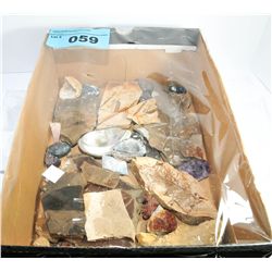 One box of assorted geological stones, fossils and