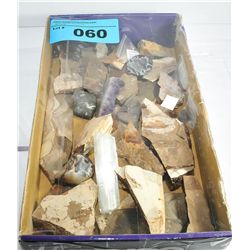 One box of assorted geological stones, fossils and