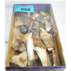 One box of assorted geological stones, fossils and