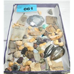 One box of assorted geological stones, fossils and