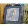 Image 1 : Framed Print