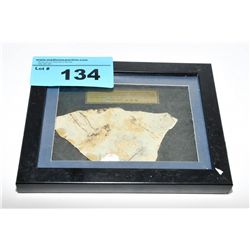 Framed fish fossil found in China