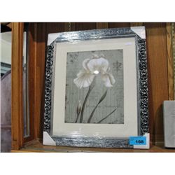 Framed Print by Iris