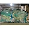 Image 1 : Crab trap