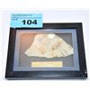 Image 1 : Framed fish fossil from 140million years ago