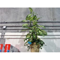 Approx 5F tall artificial tropical plant
