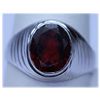 Image 1 : 26.75 CTW GARNET RING .925 STERLING SILVER