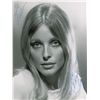 Image 1 : Sharon Tate