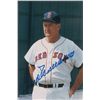 Image 1 : Ted Williams