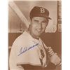 Image 1 : Ted Williams