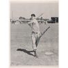 Image 1 : Ted Williams