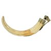 Image 1 : Boar Tusk Cigar Cutter